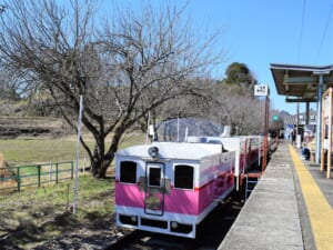 サボ (行先標) 高千穂観光号 本州・九州行先板16