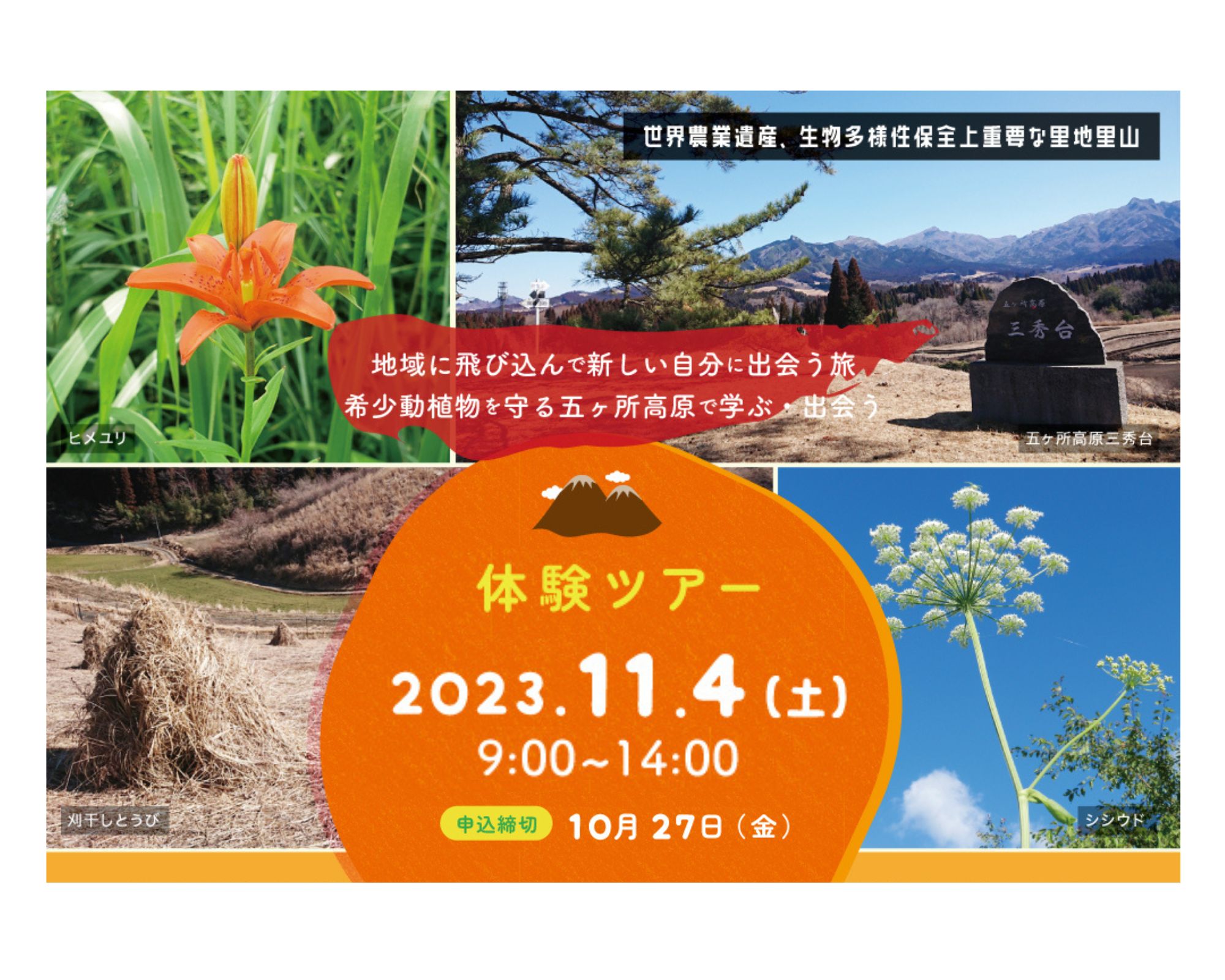 11/4(土)】地域に飛び込んで新しい自分に出会う旅 「希少動植物
