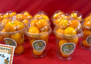 ナッツ 長崎黄金 25kg 今年も盛り上げる！金柑の季節は「KINKAN FESTA2025」 - たか