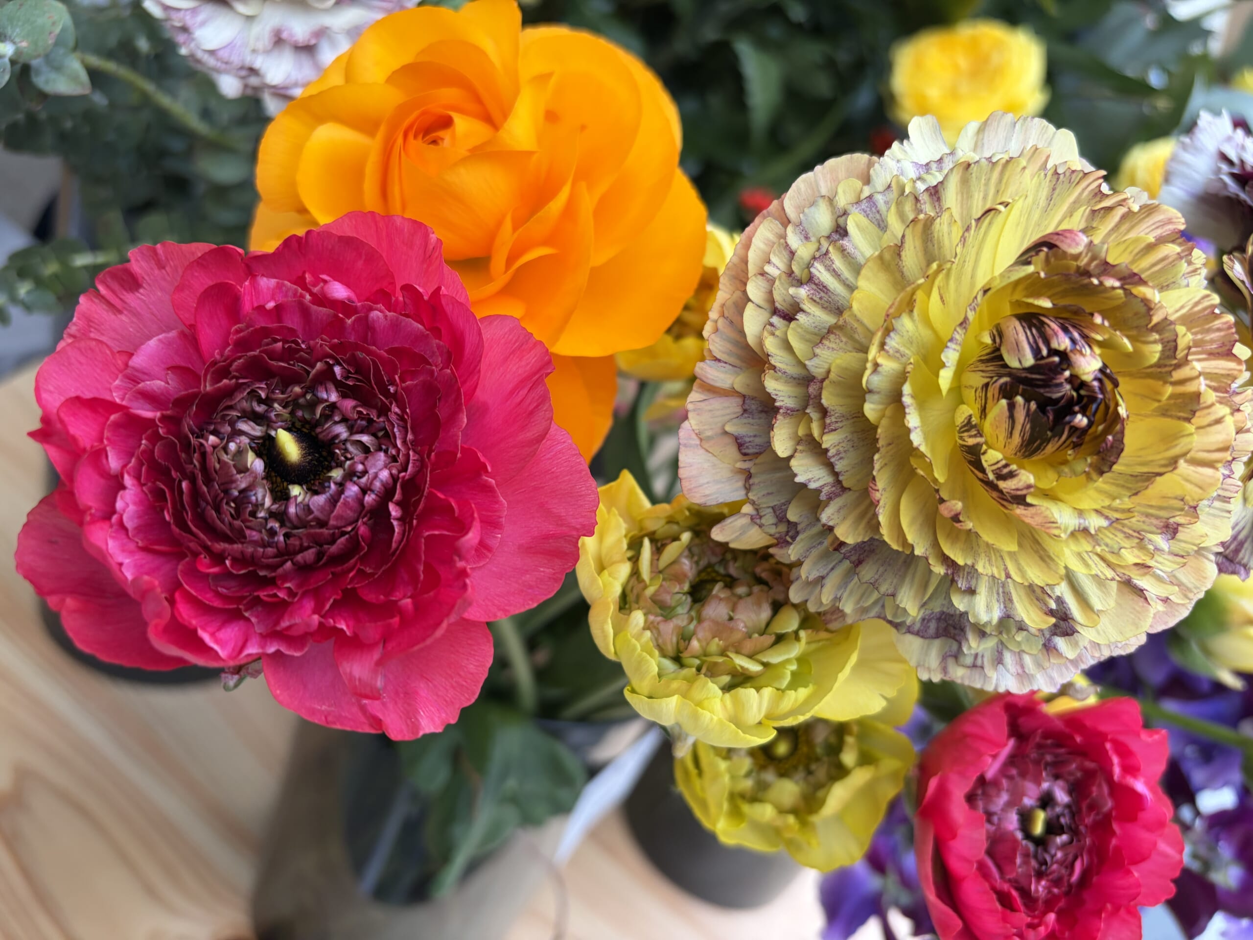 花が季節を連れてくる ― 高千穂で咲くhanaTo／hanaTo farm の物語